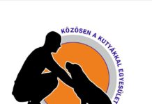 Új kutyafuttató területek