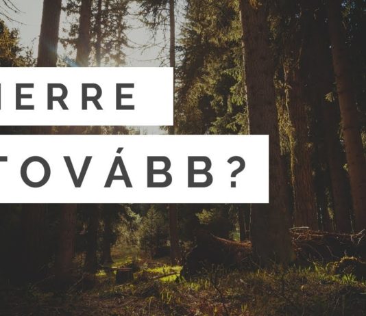 Mire van szükség Kőszegen?