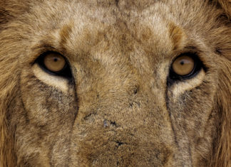 Szép gesztus a leköszönő képviselők részére